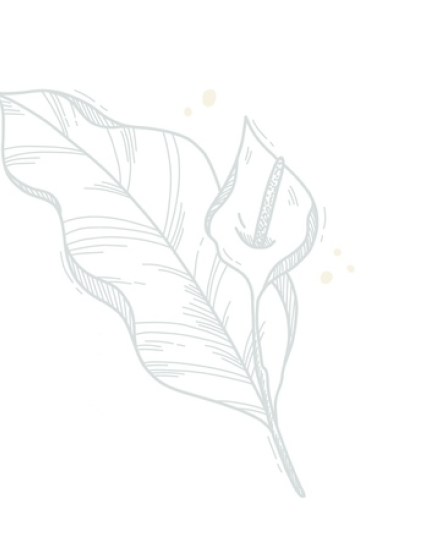 Brand Clipart