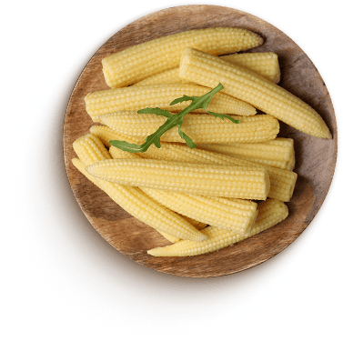Brand Clipart